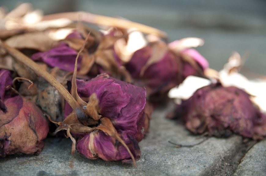 Flickr_-_Whiternoise_-_Dead_flowers,_Pére_Lachaise_Cemetery